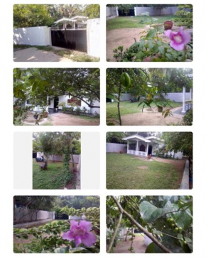 Asiri house
